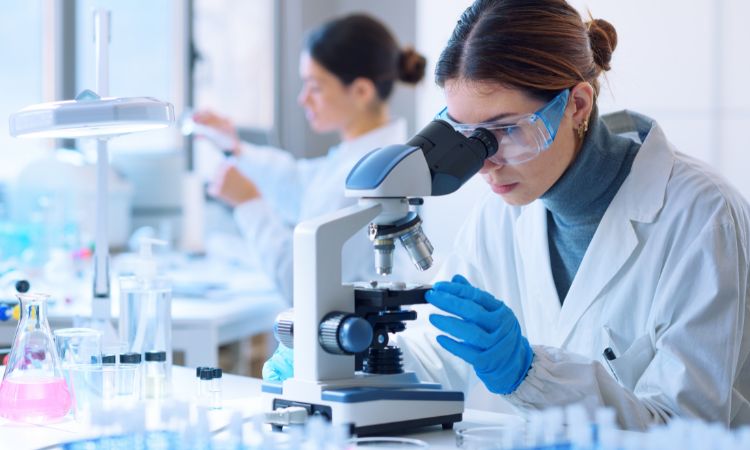 Laboratorio