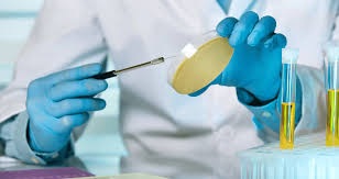 Urocultivo